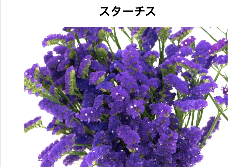 スターチス