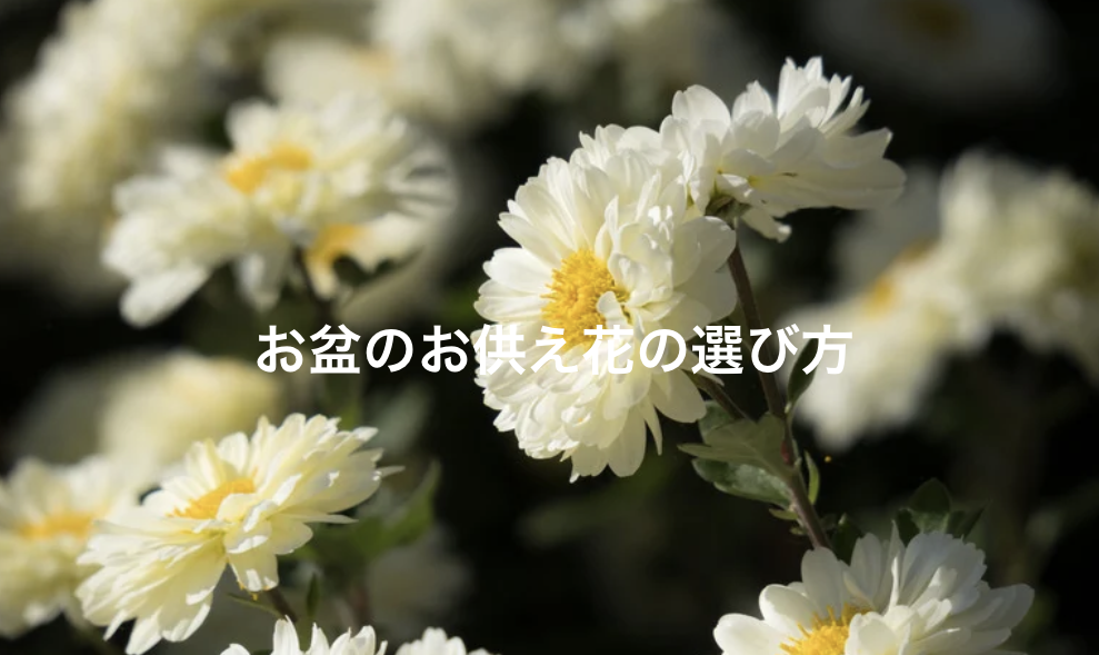 お盆のお供え花の選び方